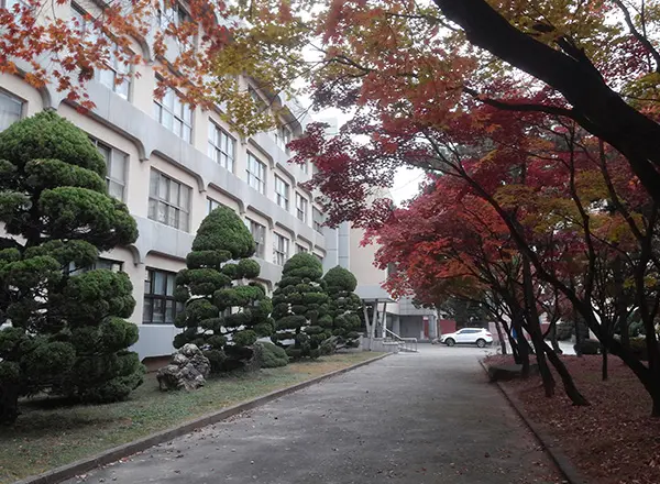 영동고등학교 영어 내신 분석